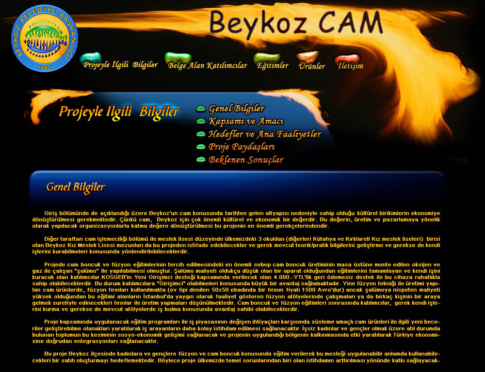 Beykoz Cam Info Page