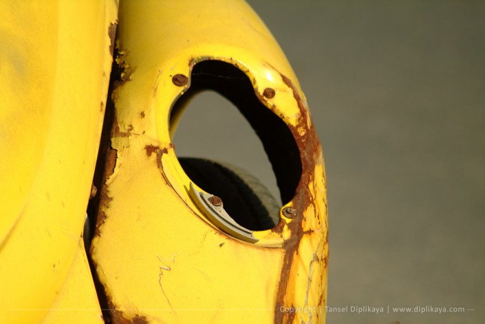 photography_junk_beatle