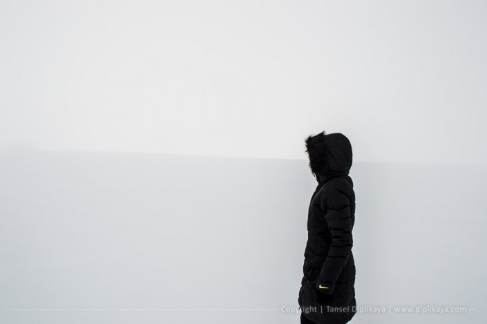 photography_lady_in_a_snowy_field